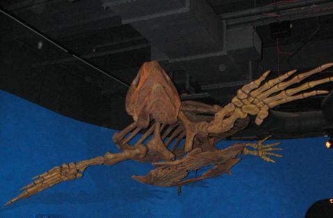 bps image mcwane sea monsters preview