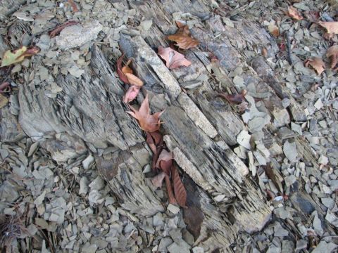 shale layers