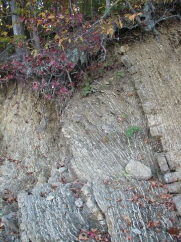 geologic layers