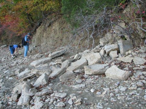 rocky shoreline