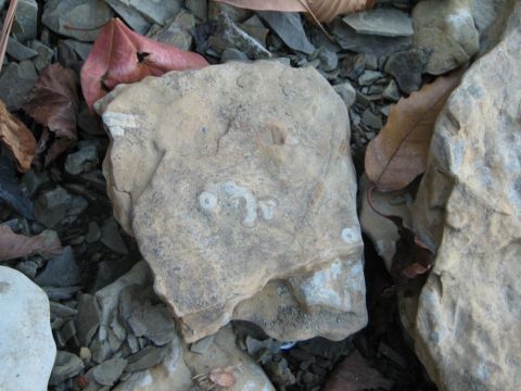 markings on rock