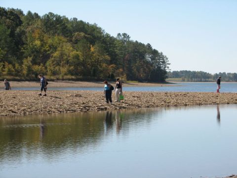 collecting trilobites