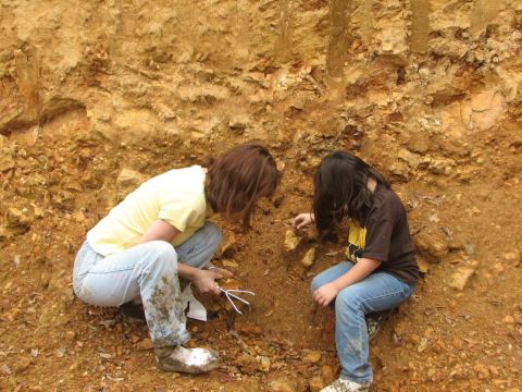 searching for fossils