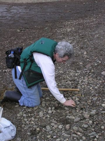 hunting fossils