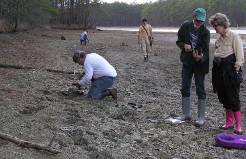 searching for fossils