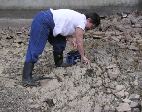 Becky hunting fossils