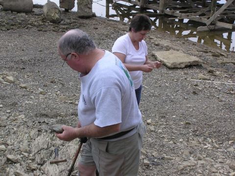 conasauga shale