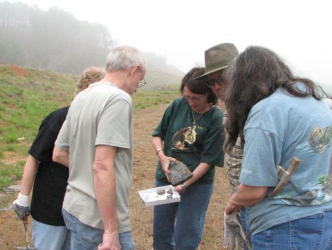 looking at fossils