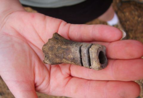 Butler county BPS fossil field trip