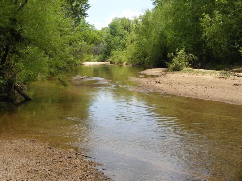 Butler county BPS fossil field trip