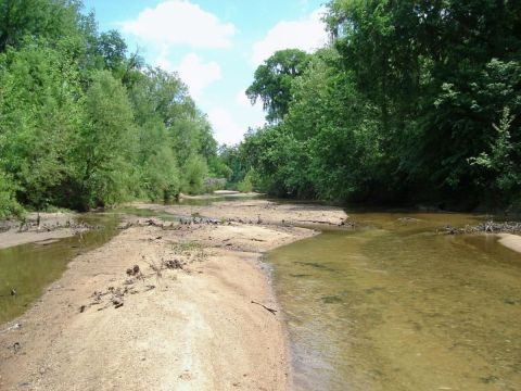 Butler county BPS fossil field trip