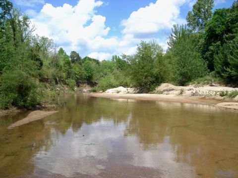 Butler county BPS fossil field trip