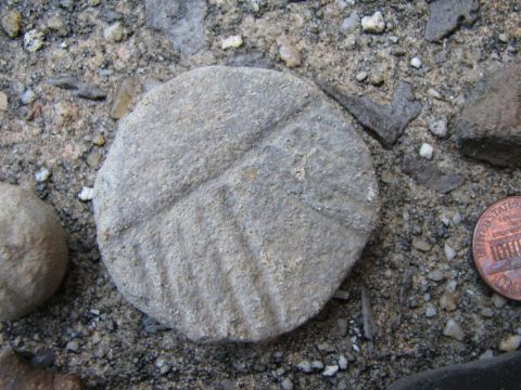 Butler county BPS fossil field trip