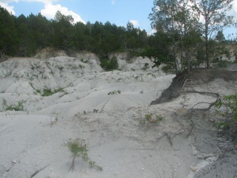 chalk gully