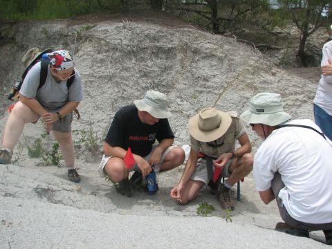 members looking at fossil fish jaw