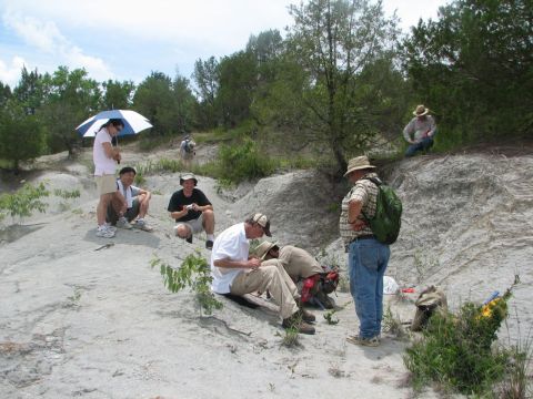 watching the fish bone excavation