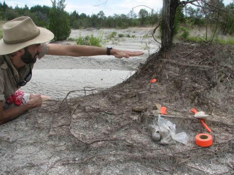 Lamb at site of a mosasaur find.