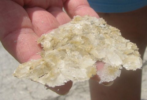 gypsum