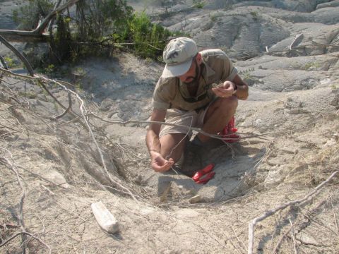 collecting fish bones in a side gully