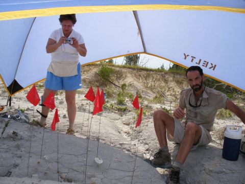 awning over shark vertebra excavation