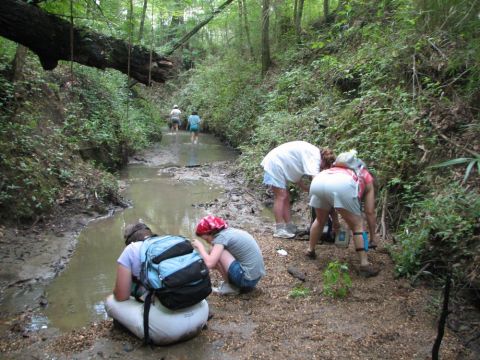 Screening for shark teeth in the creek