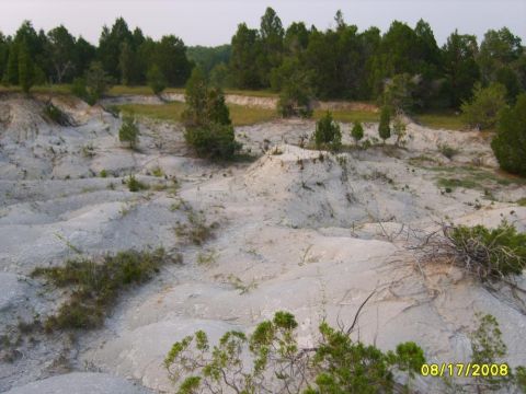 Gully overview