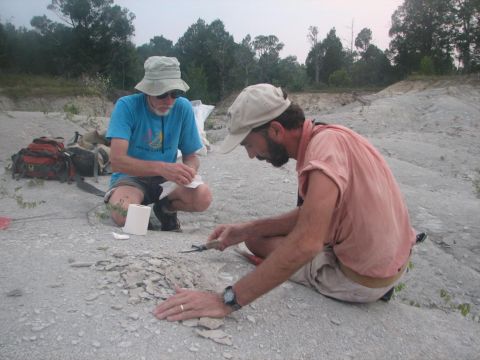 wrapping fossil specimens