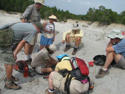 excavating a fish