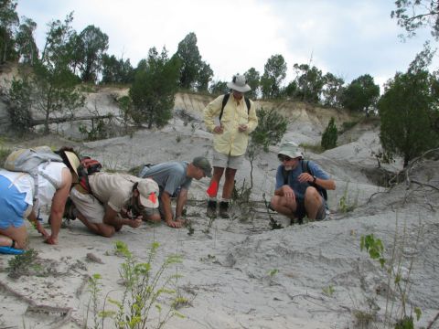 searching for fossils