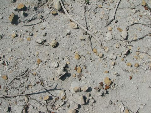 rubble in chalk gully