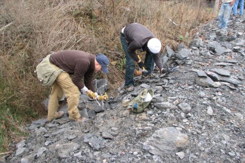 fossil site