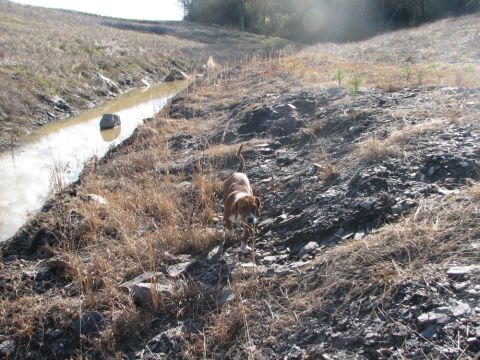 ditch at site