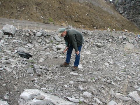 Bob searching for the elusive whole crinoid.