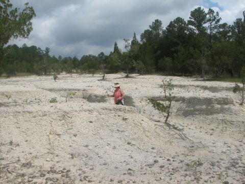 Becky in gully.