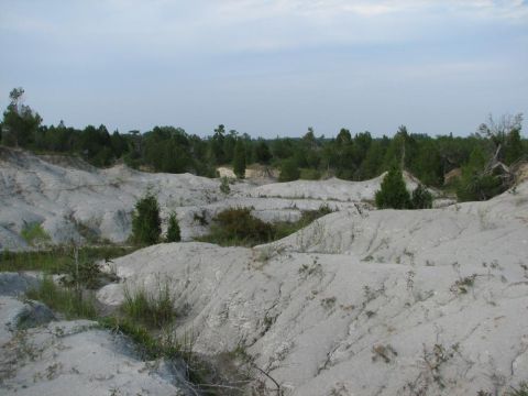 Overview of a gully