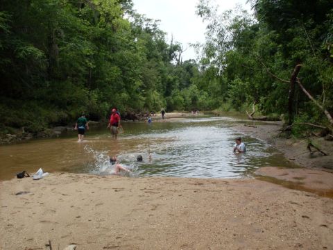 playing in the water