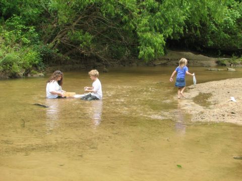 screening in the creek