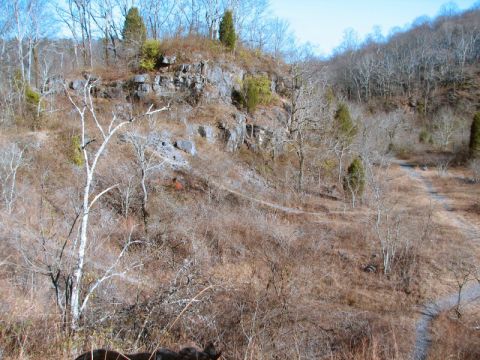 Ruffner Mountain