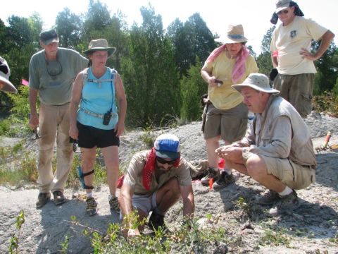 excavating a fossil