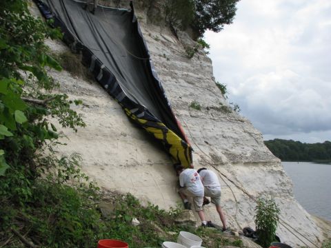 Ducking their heads while rocks and matrix are sent down