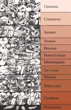 geologic time scale