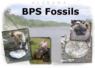 bps fossil field trip