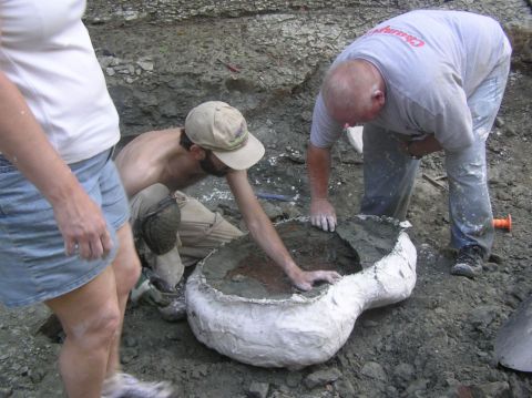 James and Greg cleaning the debris out of the Eotrachodon orientalis dinosaur skull jacket, which has now been broken off the pedistal, and flipped upside down.