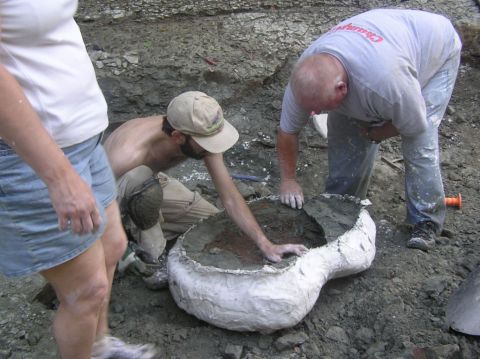 James and Greg cleaning the debris out of the Eotrachodon orientalis dinosaur skull jacket, which has now been broken off the pedistal, and flipped upside down.