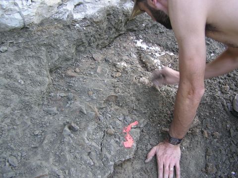 James examining some of the first Eotrachodon orientalis dinosaur bones uncovered.