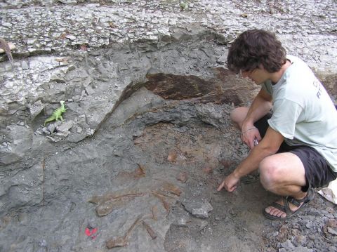  Rychard pointing to a newly exposed Eotrachodon orientalis dinosaur bone found in the next layer.