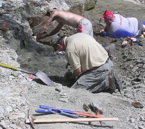 Bobby, James and Greg excavating the Eotrachodon orientalis dinosaur