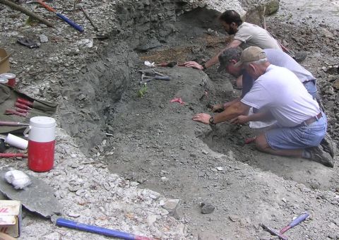 Steve, Bobby, James excavating the Eotrachodon orientalis dinosaur.  Notice the ground has been taken down to the level of the bones.