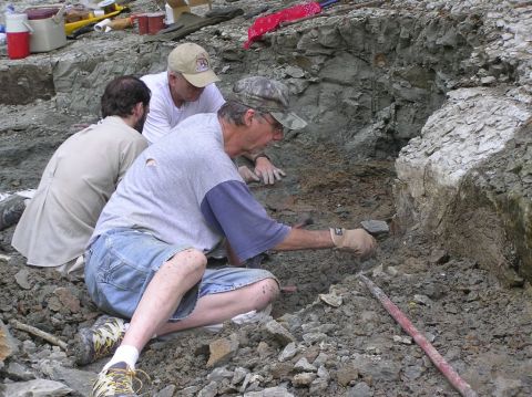 Steve, Bobby, James excavating the Eotrachodon orientalis dinosaur. 