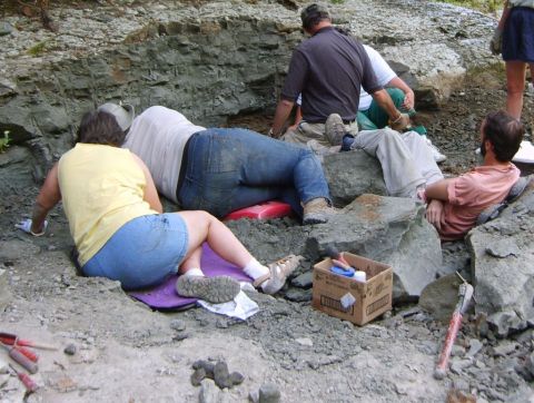 Several BPS members in the newly dug hole, while James takes a well deserved rest - he, Steve, and Bobby dug the hole with his pick, while BPS members shoveled the debris into a pile for later examination.